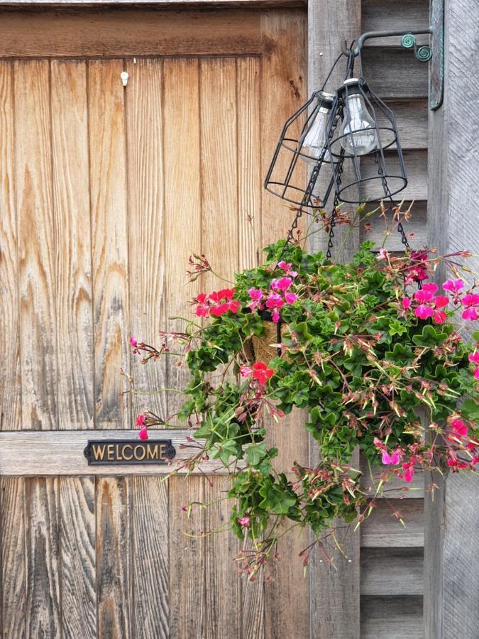 Ddog Vineyard & Bnb Renwick Exterior foto